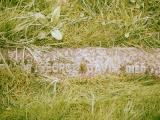 image of grave number 622534